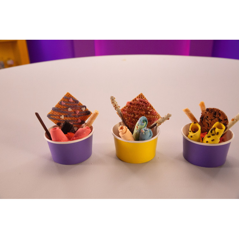 ZAP Chef Ice-cream Mini Rolled Lab - 3