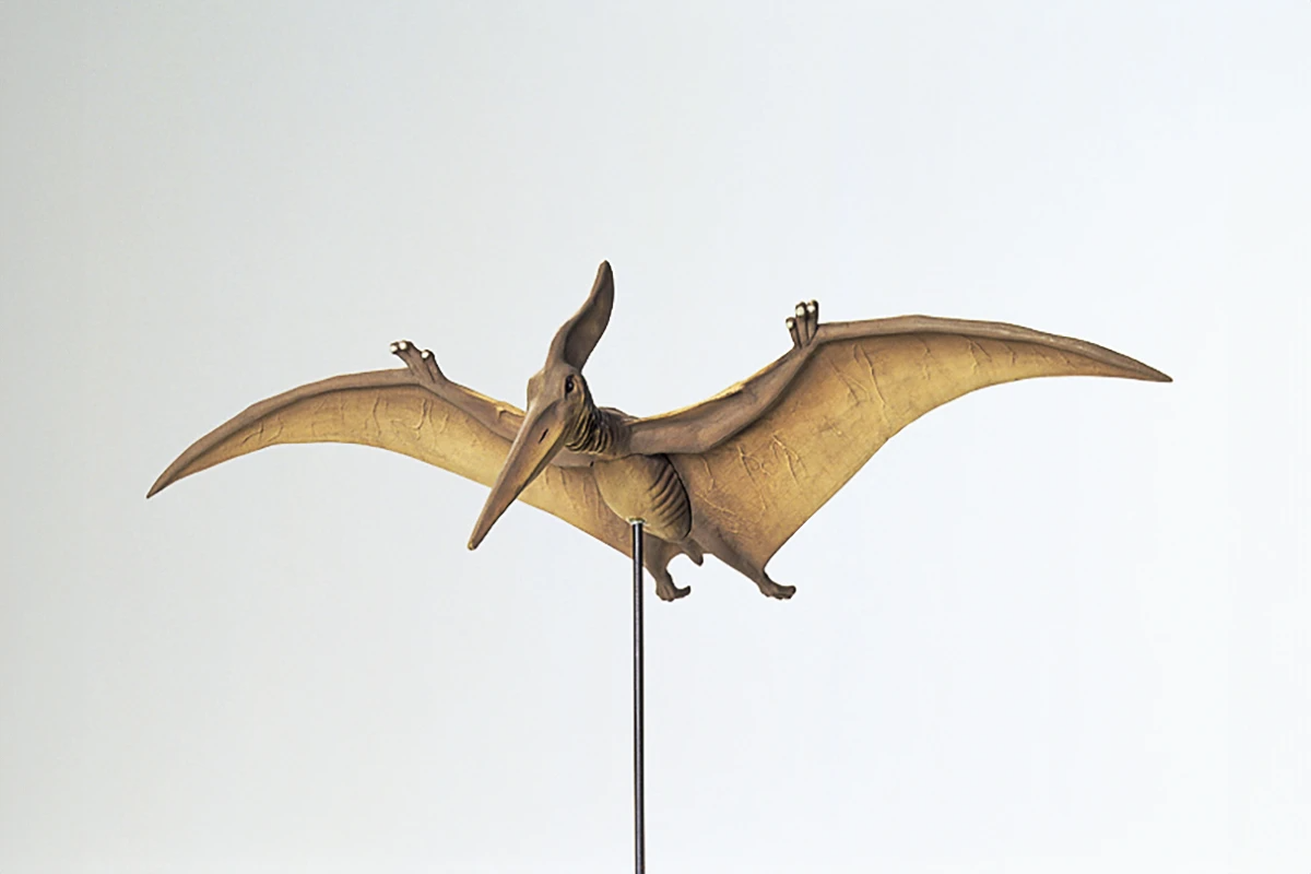 Tamiya Modellbygge Pteranodon - 3