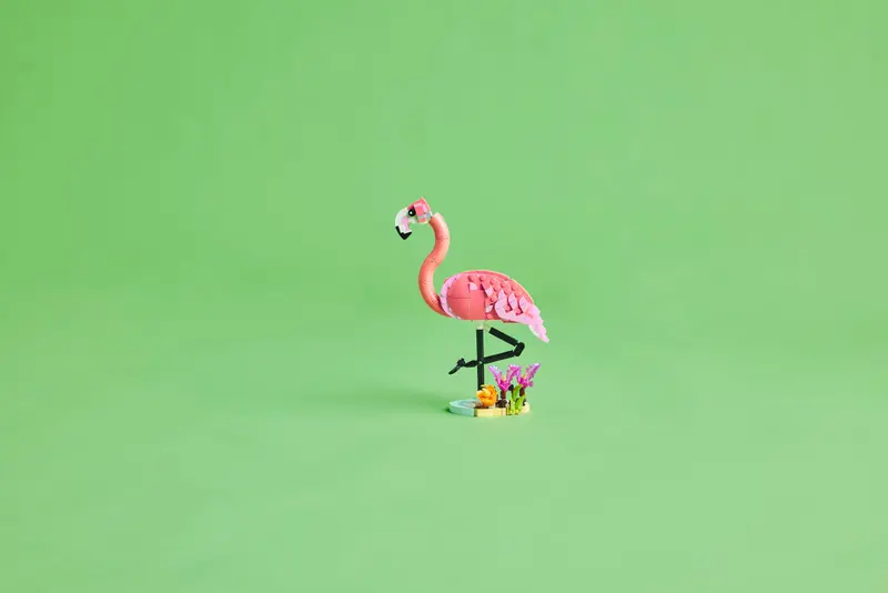 Lego Creator 3in 1 31170 Vilda Djur: Rosa Flamingo - 11