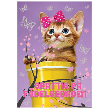 Enkelt Barnkort Grattis På Födelsedagen, Katt -  Spader
