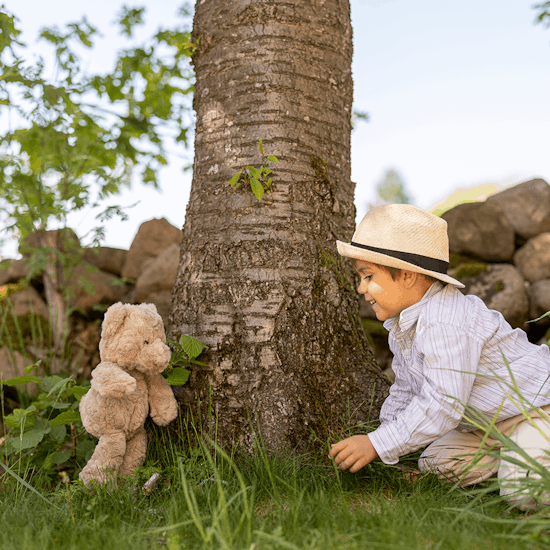 Sture, Brun - Teddykompaniet - 2