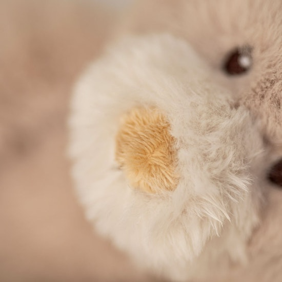 Teddy Mocca, Nalle, Beige - Teddykompaniet - 4