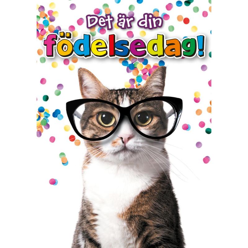 Spelande Kort, Kalas, Din Födelsedag