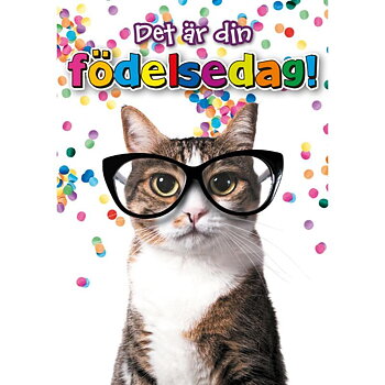 Spelande Kort, Kalas, Din Födelsedag