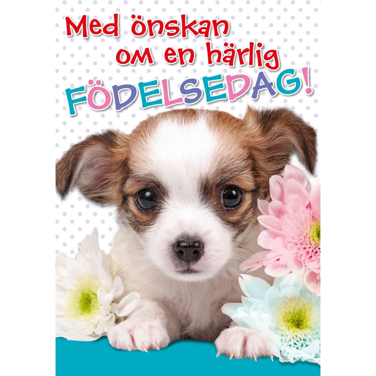 Spelande Kort, Härlig Födelsedag