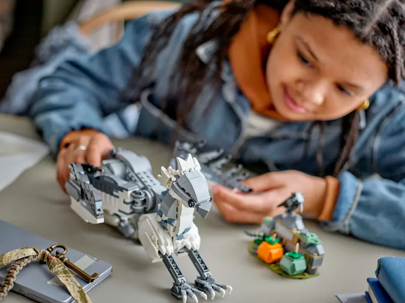 LEGO Harry Potter 76427 Vingfåle - 2