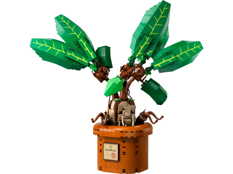 LEGO Harry Potter 76433 Mandragora - 4