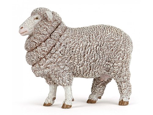 Får Merino  - Papo