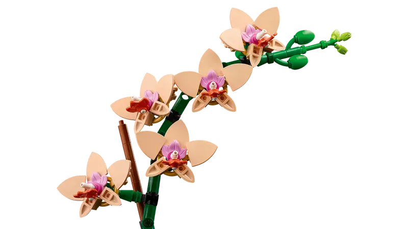 Lego Botanical Collection 10343 Miniorkidé - 4