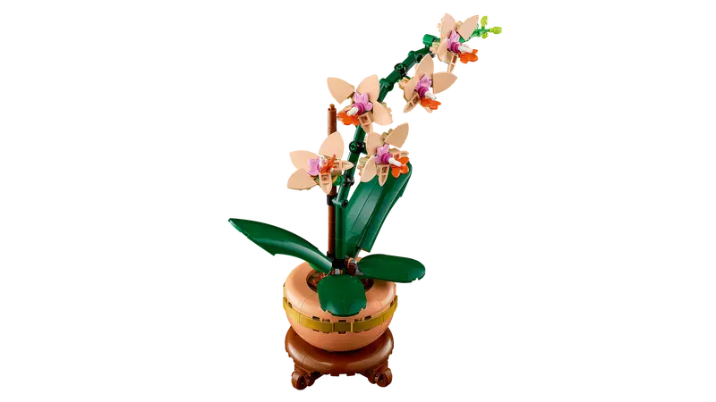 Lego Botanical Collection 10343 Miniorkidé - 6