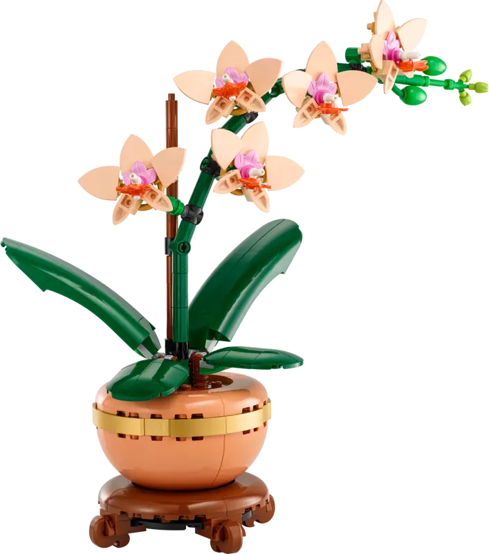 Lego Botanical Collection 10343 Miniorkidé - 5