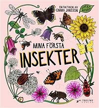 Mina första insekter