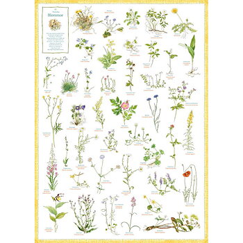 Svenska Blommor affisch - Hjelm Förlag