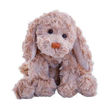 Buddy Hund Taupe - Bukowski