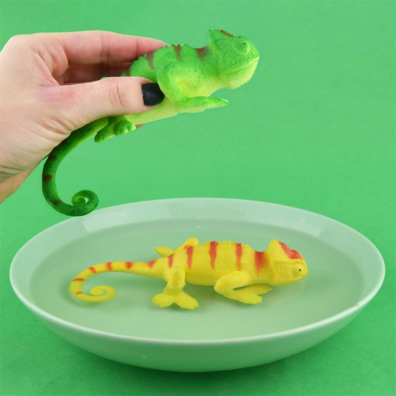 Color Changing Lizard - Robetoy - 2
