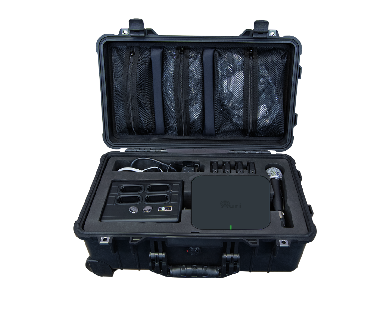 Portabelt system