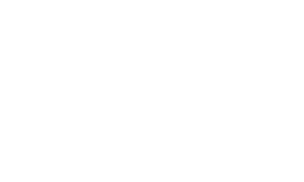 Visign