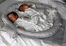 Babynest Zwilling-the Swedish original. 